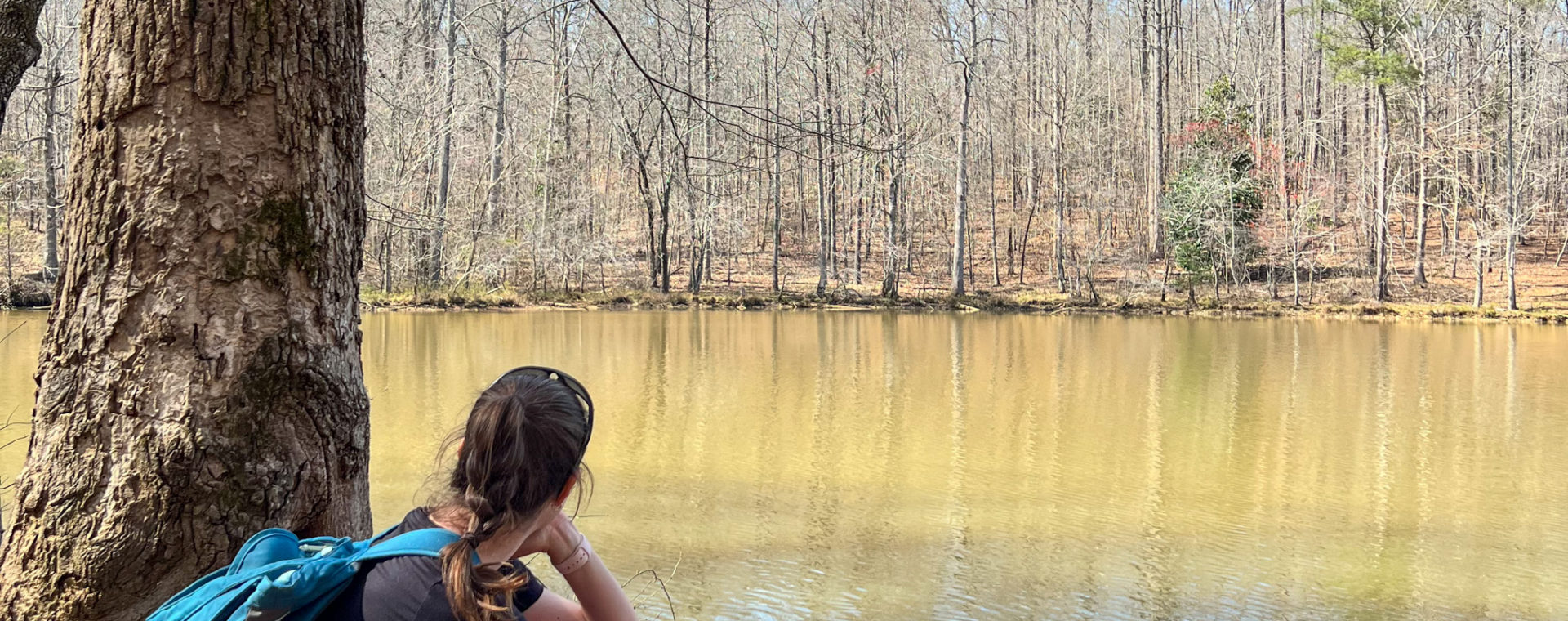 Hiking the Gold Branch